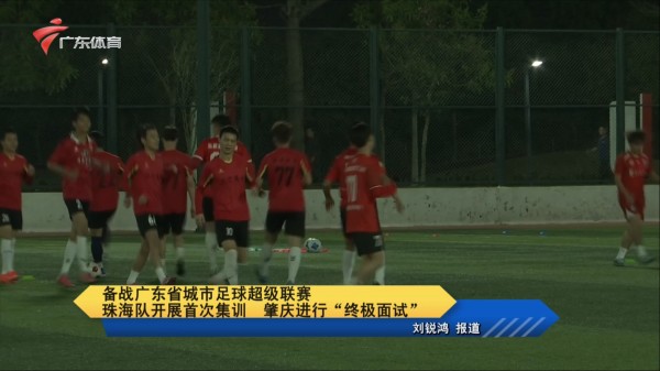 中国香港三匹明星赛驹闪耀国际舞台