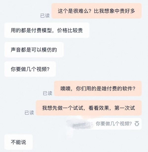 对方不肯透露付费模型名称。南方周末记者 梁婷 截图