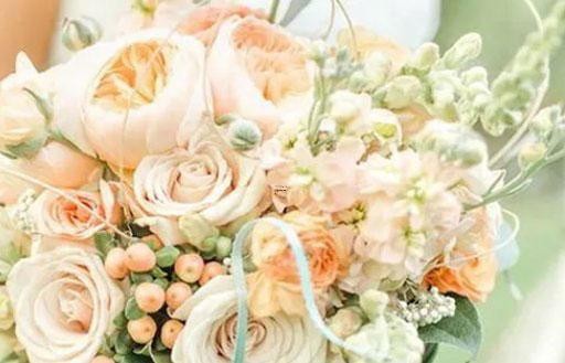 2025年9月11日水瓶座今日运势第一星座