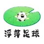 浮萍足球