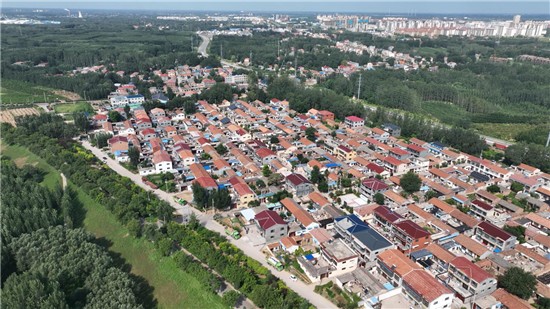 濮阳市台前县:打造“三种文化” 让乡村振兴“形魂兼备”_fororder_图片9