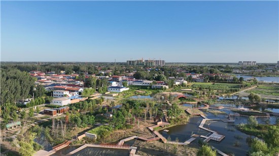 濮阳市台前县:打造“三种文化” 让乡村振兴“形魂兼备”_fororder_图片11