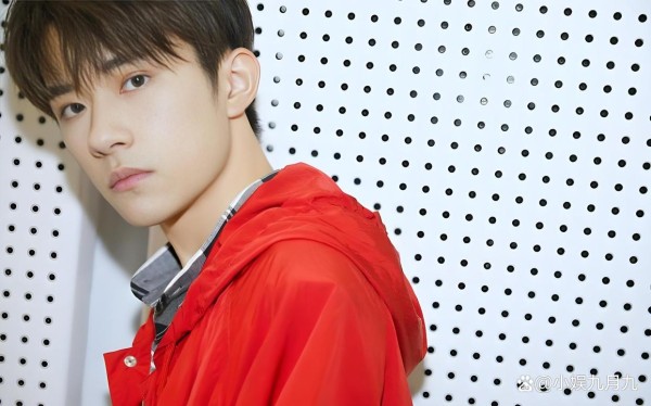 2025内娱男星热度前十,檀健次王一博相当,刘宇宁/成毅/肖战前三