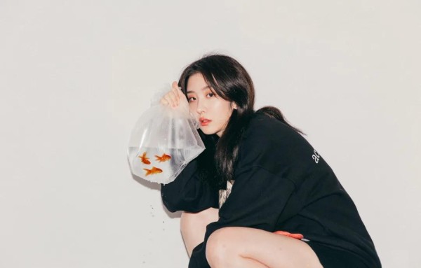 明星新动向：赵小棠接小成本剧、吴宣仪冲刺影视、成毅无缝进组