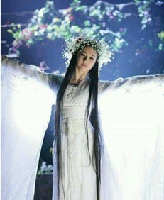 刘亦菲是什么星座（揭秘刘亦菲的星座信息）