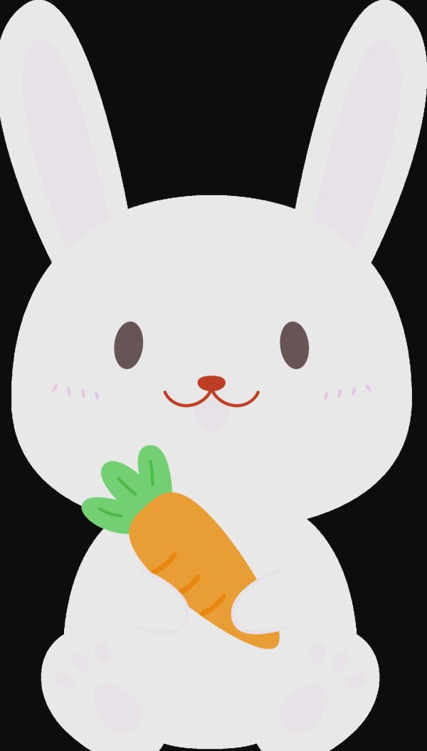 韩饭圈追星必备指南：互动、购票与用语全解析