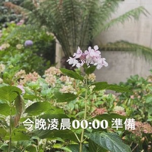 周杰伦官宣！出道25周年新专辑倒计时，3月24日正式揭晓