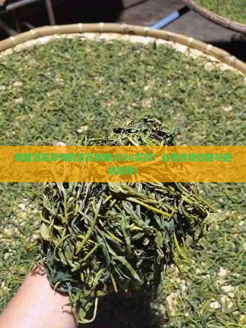 喝普洱吃羊肉的演员真像2026实测？必看省钱攻略与避坑指南！