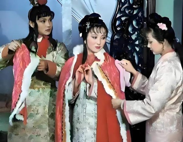 作者更偏爱宝钗还是黛玉?毋庸置疑是黛玉,受宠的宝琴也比不了