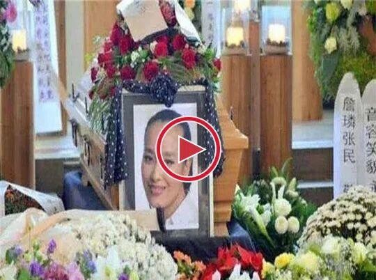 明星成名路径的多样选择:从《陈情令》到春晚舞台