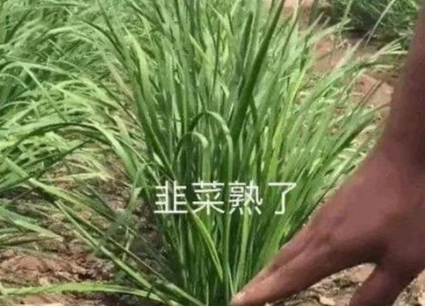 揭秘明星潮牌：价格与质量之争