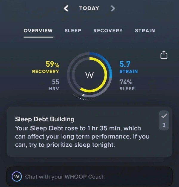 粉丝化身“网络侦探”：从手环到徕卡，追星界竟暗藏“证据链”玄机？
