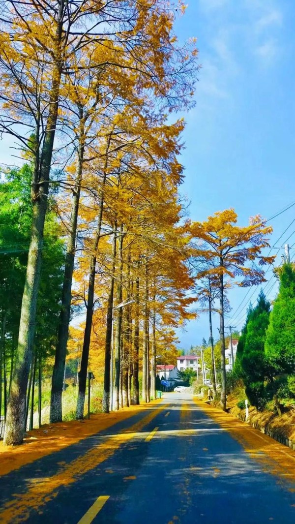 匈牙利反对派招募顶级商界领袖高管，意图在选举中击败欧尔班