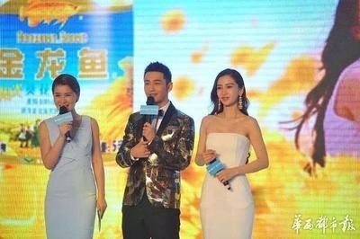 金龙鱼形象代言人，金龙鱼代言人选择标准