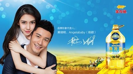 金龙鱼形象代言人，金龙鱼代言人选择标准