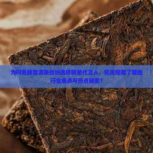 为何名牌普洱茶纷纷选择明星代言人，究竟隐藏了哪些行业痛点与热点秘密？