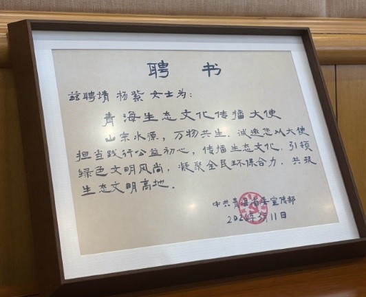 杨紫、胡歌获聘“青海生态文化传播大使”