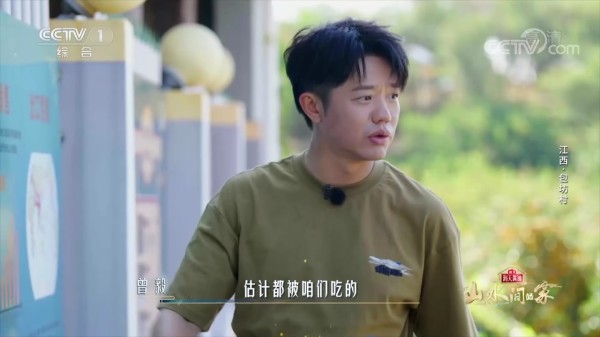 曾毅紧盯蜜桔销售统计图，这认真的样子像极了分析师