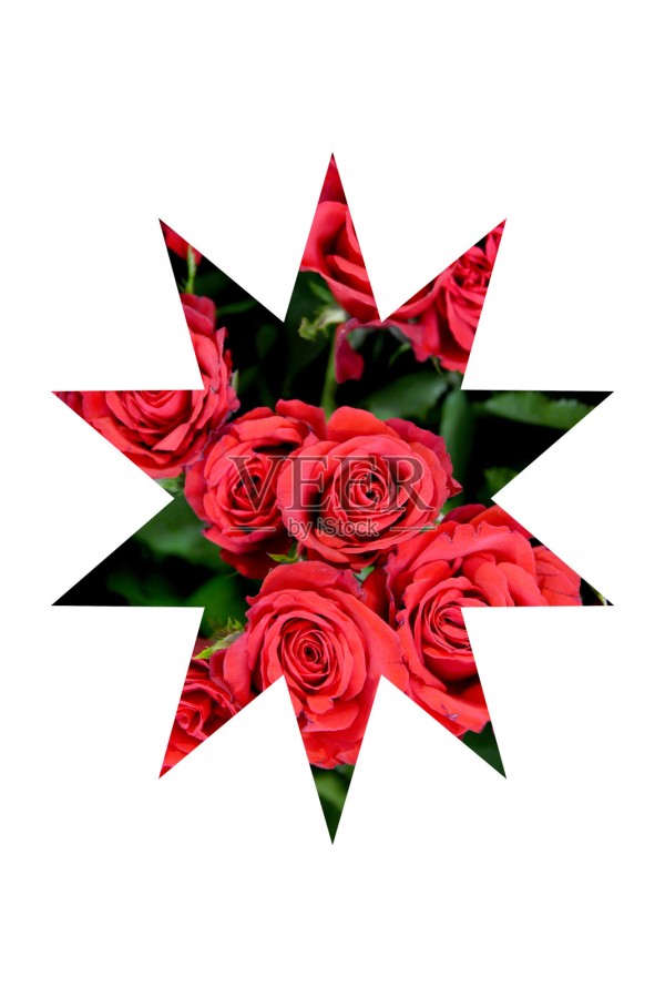星星配红玫瑰照片摄影图片