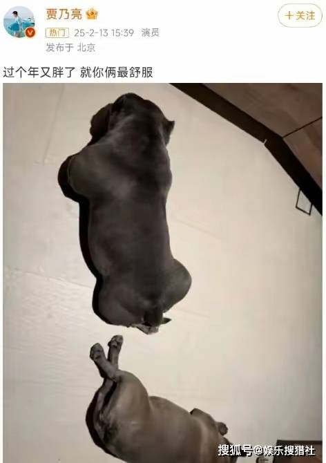 贾乃亮发文辟谣去世传闻，网友点赞“光速回应”