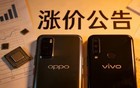 涨价潮下的豪赌：OPPO与vivo的“作死”之路