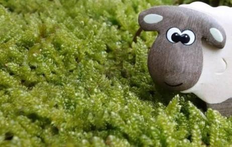 金牛座十大伟人？明星星座排行？