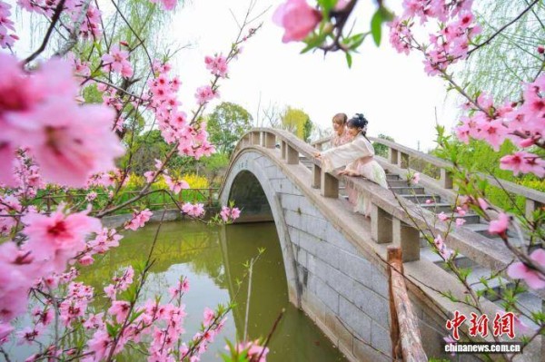 沪上首个“花节”再升级 上海桃花节首度“四区联动”