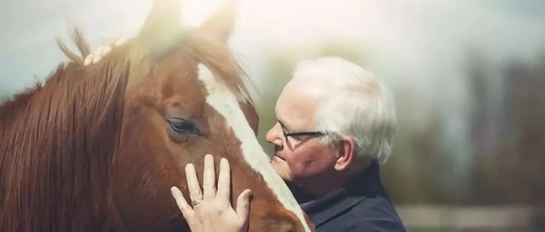 为什么许多赛马要在2岁时出道？2,3,4岁的马儿相当于人类几岁你知道吗？