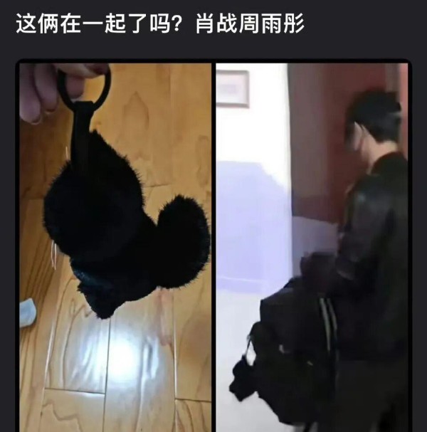 明星恋情与生活动态的全面解析