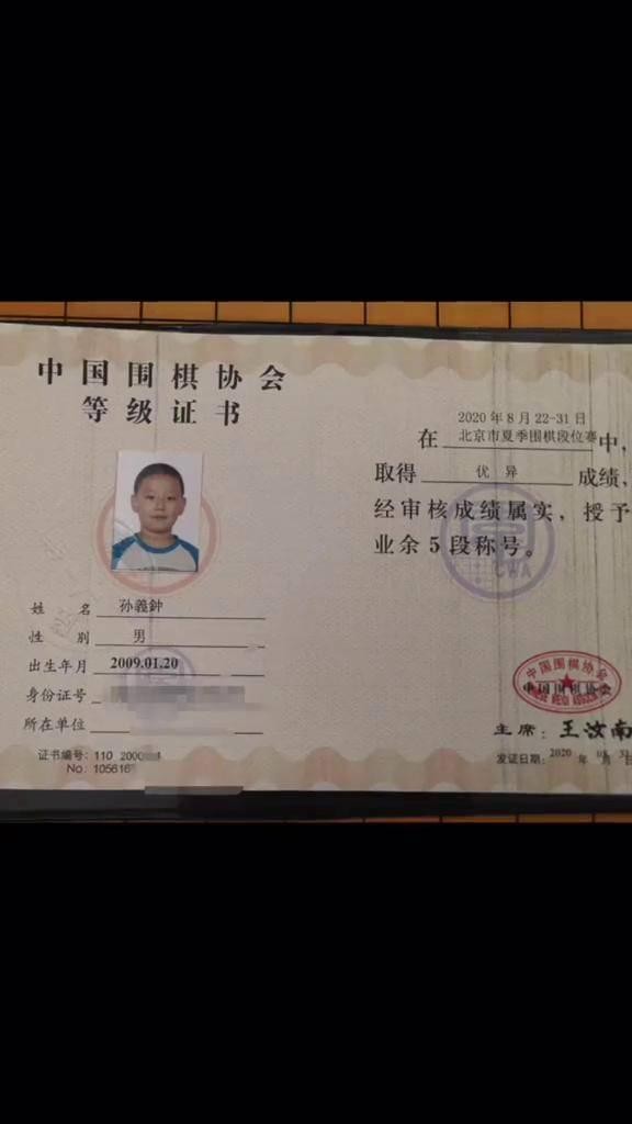 从《最强大脑》到人生赛道：王昱珩、鲍橒、杨易的爆火后转型启示录