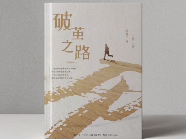 艺术家传记撰写,回忆录/传记类