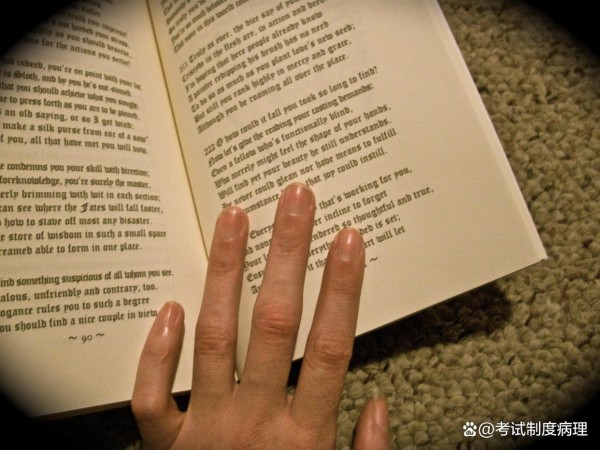 简历加分技巧：在作品集中展现Excel数据可视化，让HR眼前一亮