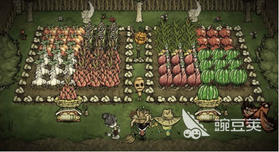 小小草帽团APP下载安装