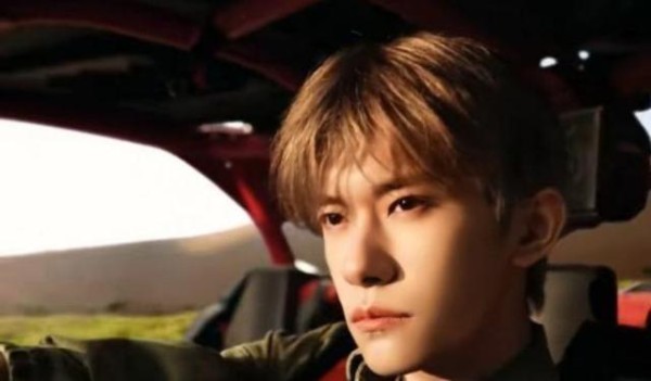 易烊千玺正式成为理想汽车首位品牌代言人，李想称“车主是最好的代言人”却破例选择明星，或为借势年轻市场增强品牌影响力-有驾