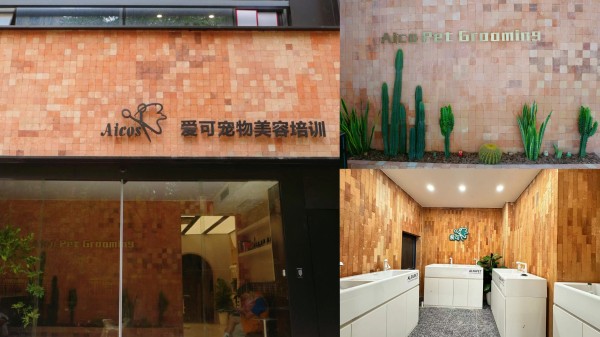 关于爱可爱可宠物美容学校