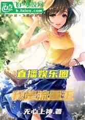 直播娱乐圈!我是流量王小说