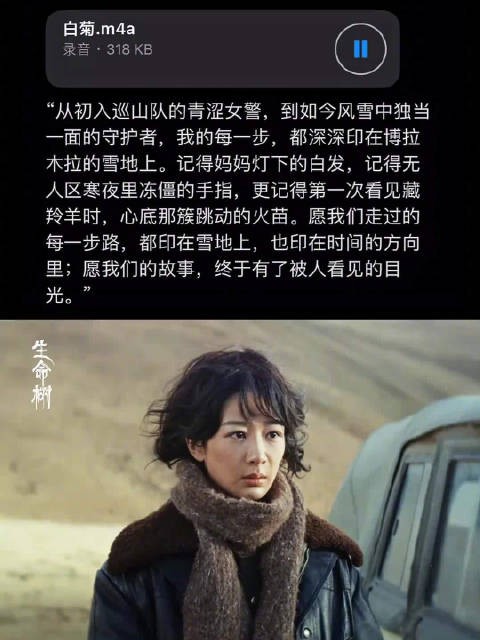 生命树带火青海旅游