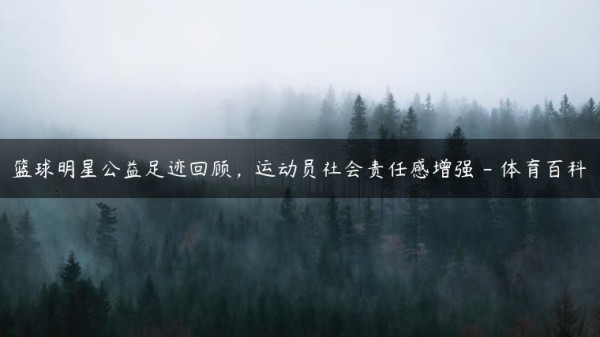 篮球明星公益足迹回顾，运动员社会责任感增强