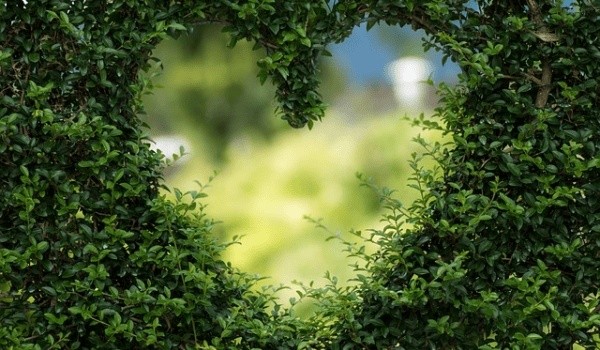 杨紫“锦鲤体质”大揭秘：星座如何助力事业蒸蒸日上？