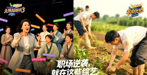 不同节目中的精华瞬间及其截图解读