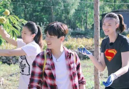 一位明星宣布单飞，他的评价超暖心，网友：支持大华