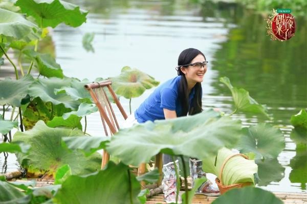 从《偶像来了》到《妻子》，谢娜为何频频成为热门综艺“回锅肉”？