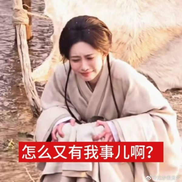 孟子义 从全世界的战斗中路过 娱乐圈的另类生存样本