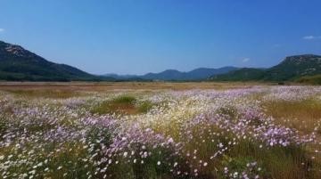 名人风光背后:景区清场引争议,明星特权与公众权益如何平衡?