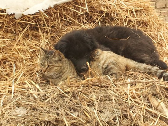和谐世界：山东嘉祥县委宣传部陈常领 2013年2月27日摄于山东嘉祥县马村镇山营村.jpg
