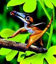 空中巨兽=探索自然