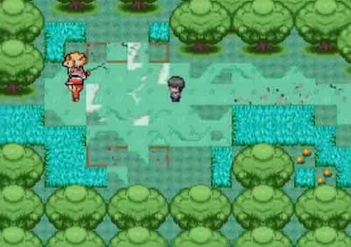 宝可梦迷之规则12位明星教练位置介绍