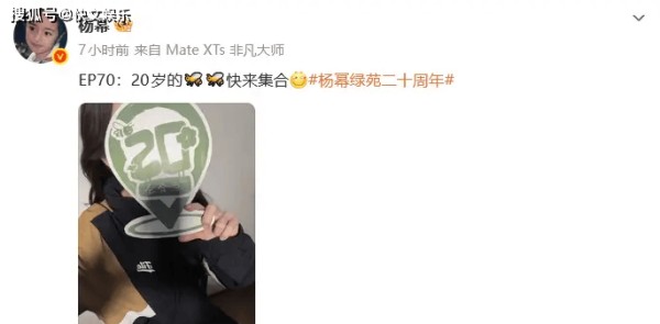 杨幂亲手做拼豆礼物庆粉丝团20周年！40岁的她，凭什么红了20年？