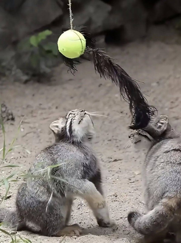 为什么在有些人眼里，好男人全死绝了？
