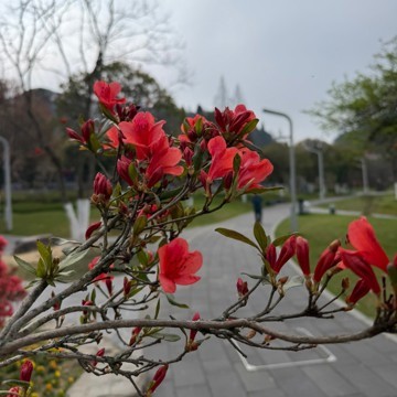 纯粹个人娱乐预测今天走势！准备被打脸哈